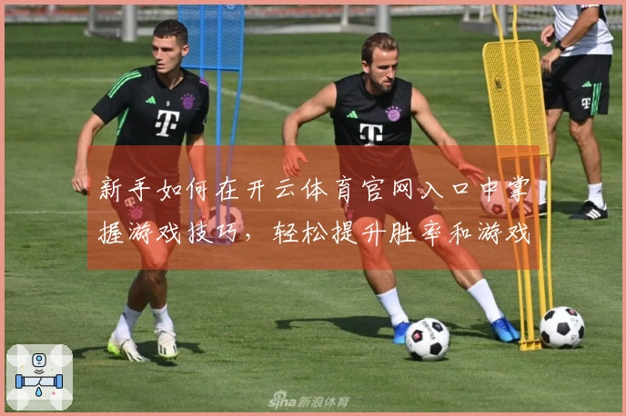 新手如何在开云体育官网入口中掌握游戏技巧，轻松提升胜率和游戏体验