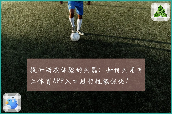 提升游戏体验的利器：如何利用开云体育APP入口进行性能优化？