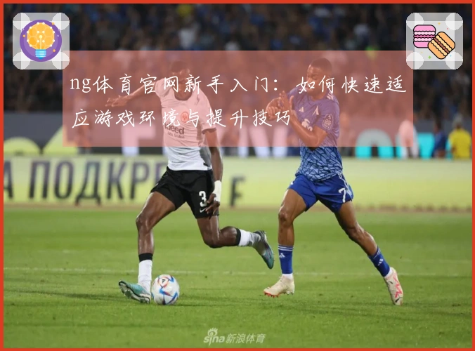 ng体育官网新手入门：如何快速适应游戏环境与提升技巧
