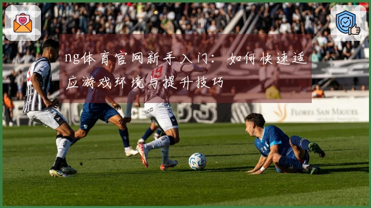 ng体育官网新手入门：如何快速适应游戏环境与提升技巧